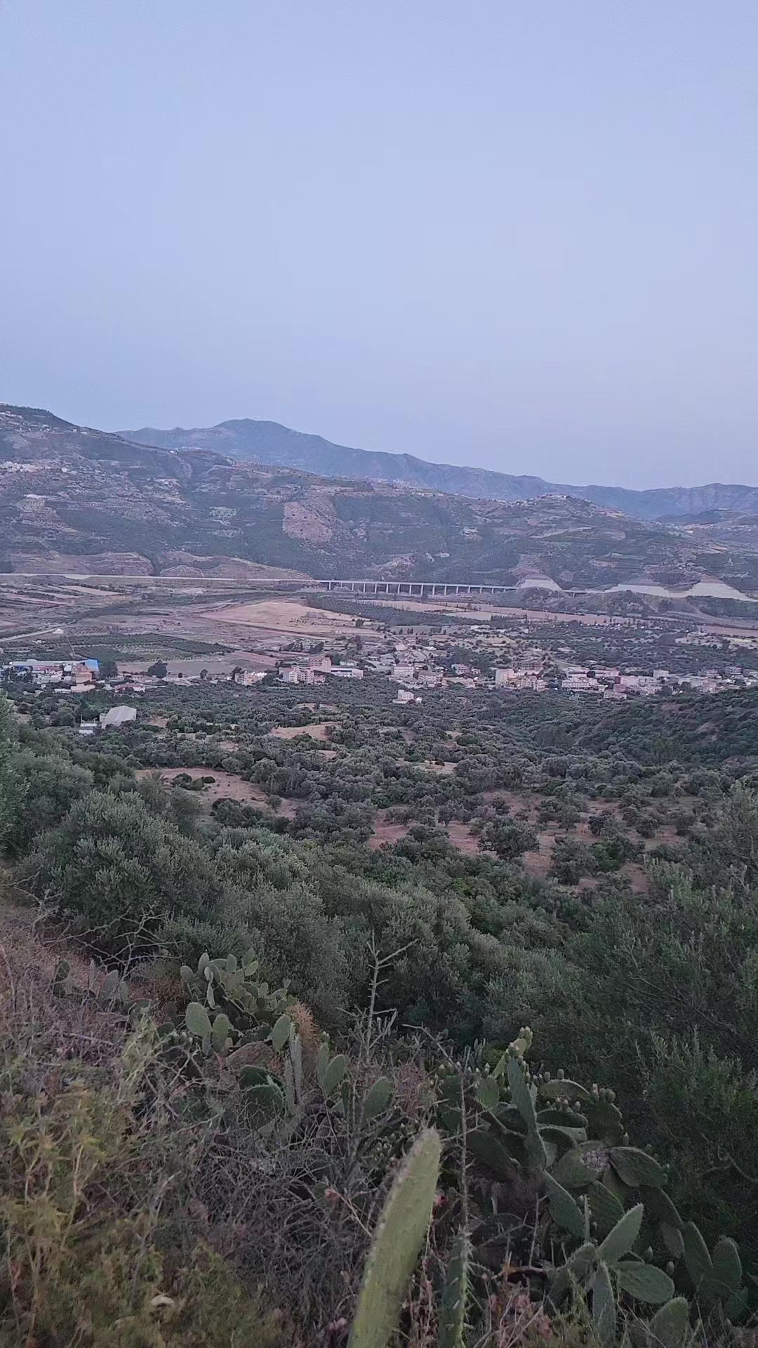 @léopard