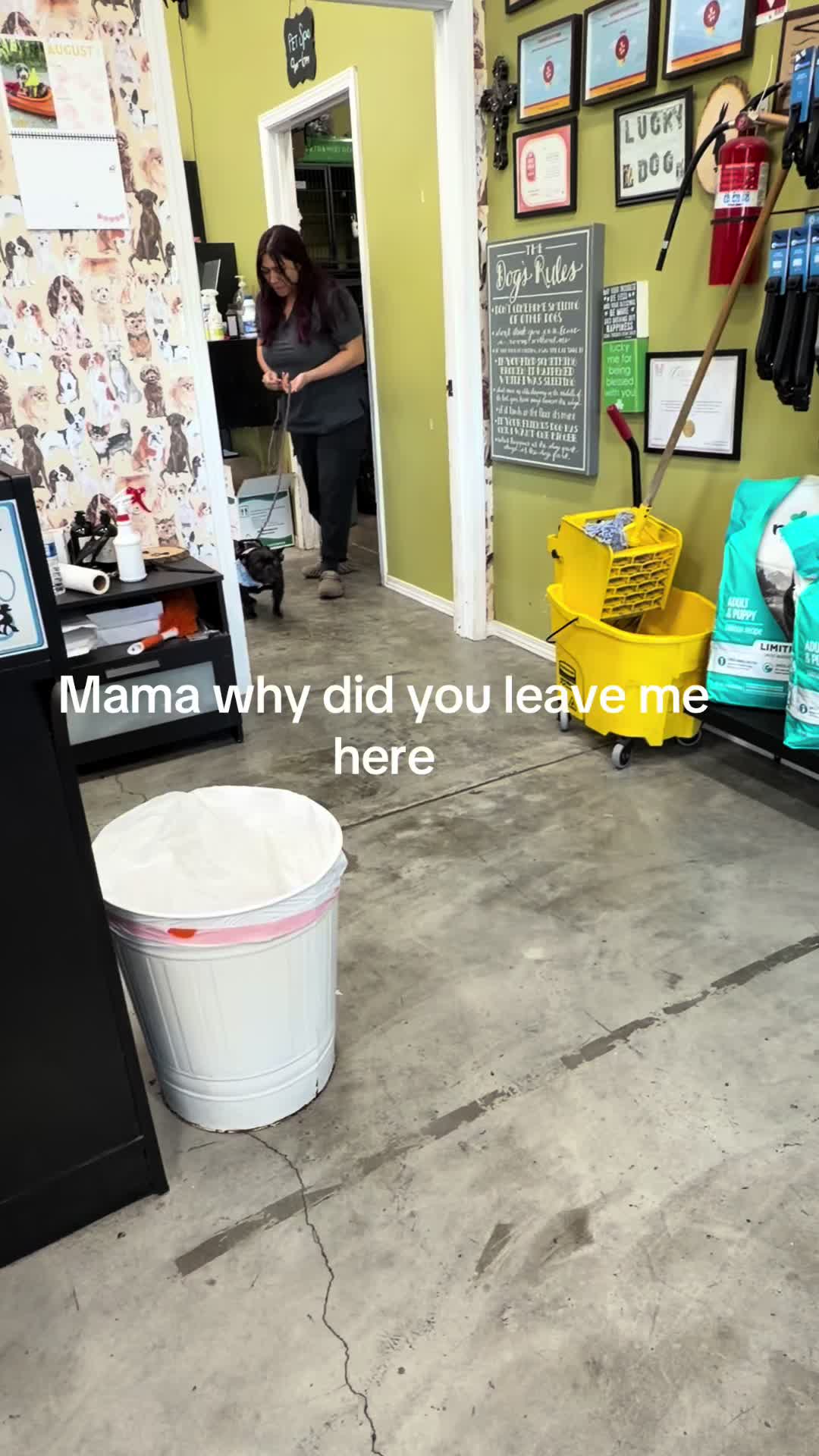 @Lizzie2bizzie