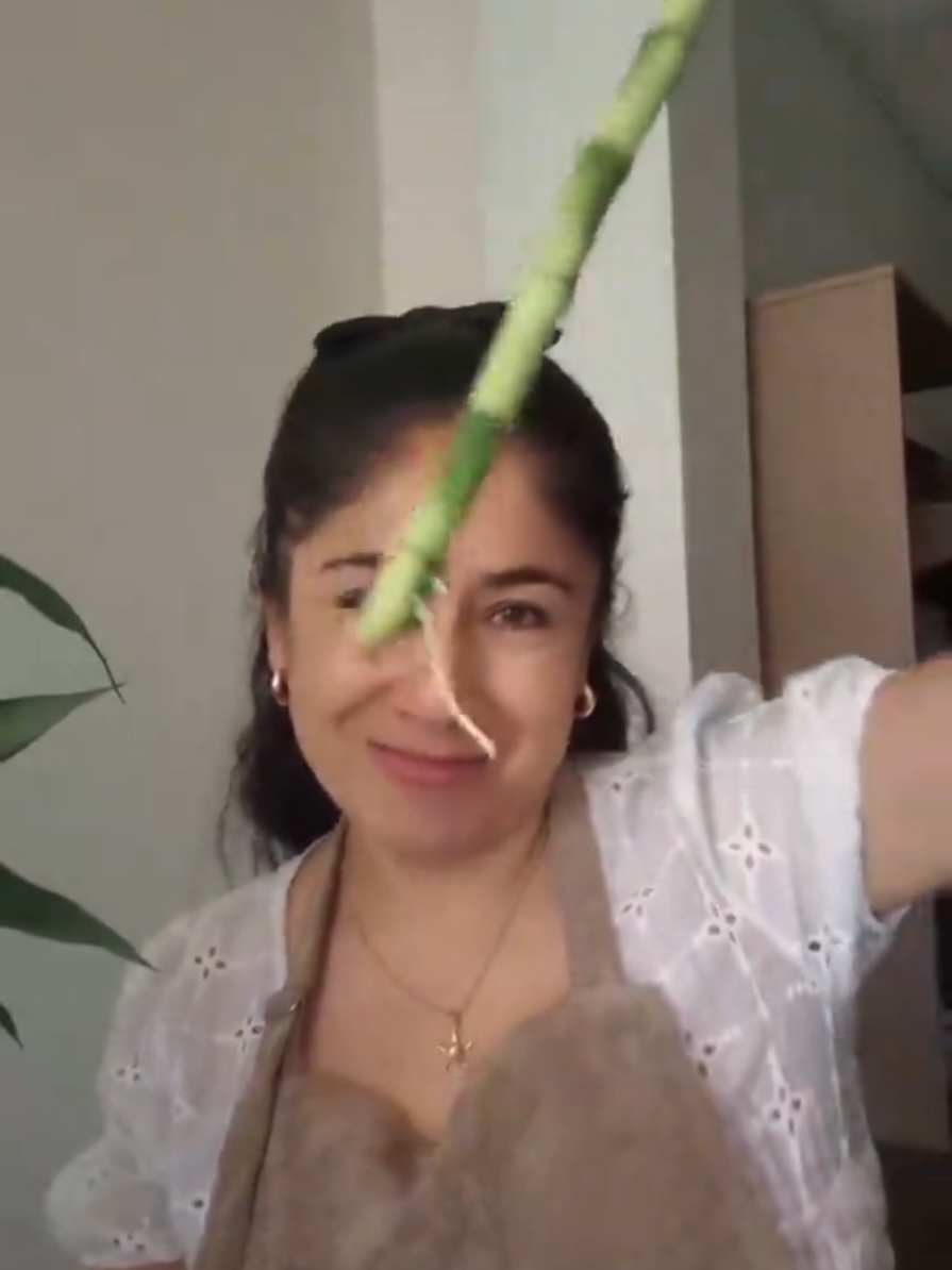 @~𝐀𝐫𝐞𝐧𝐚 Casa Floral