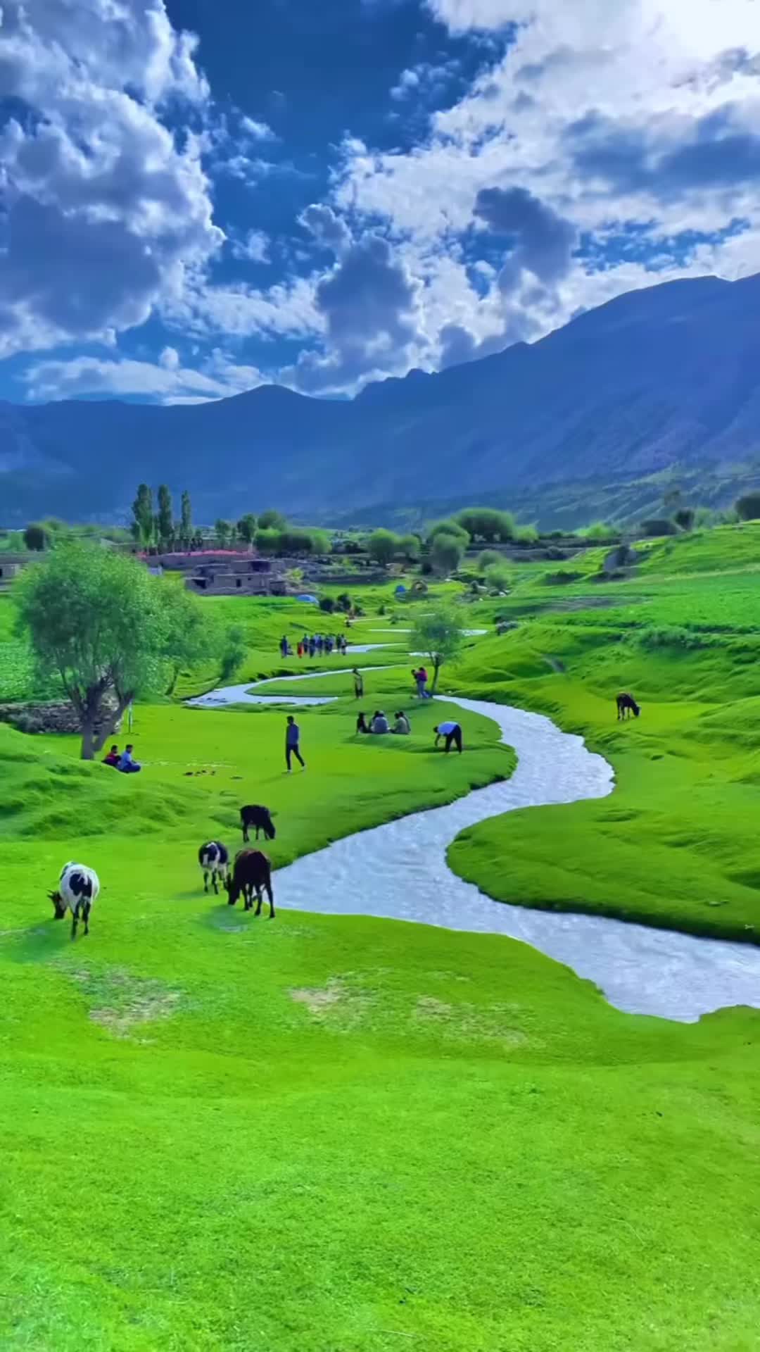 @kuljindersidhu95
