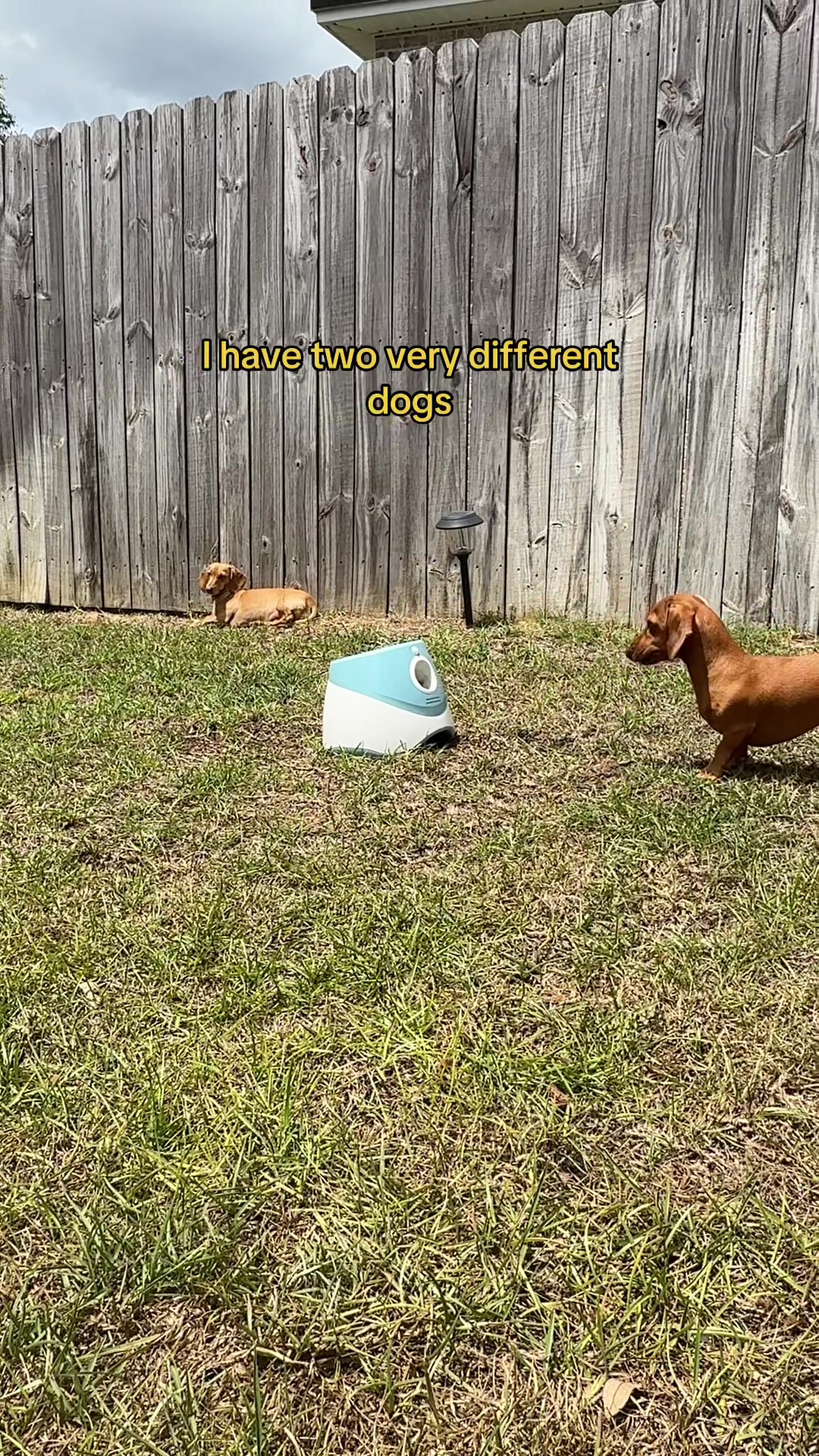 @Hazel & Heidi