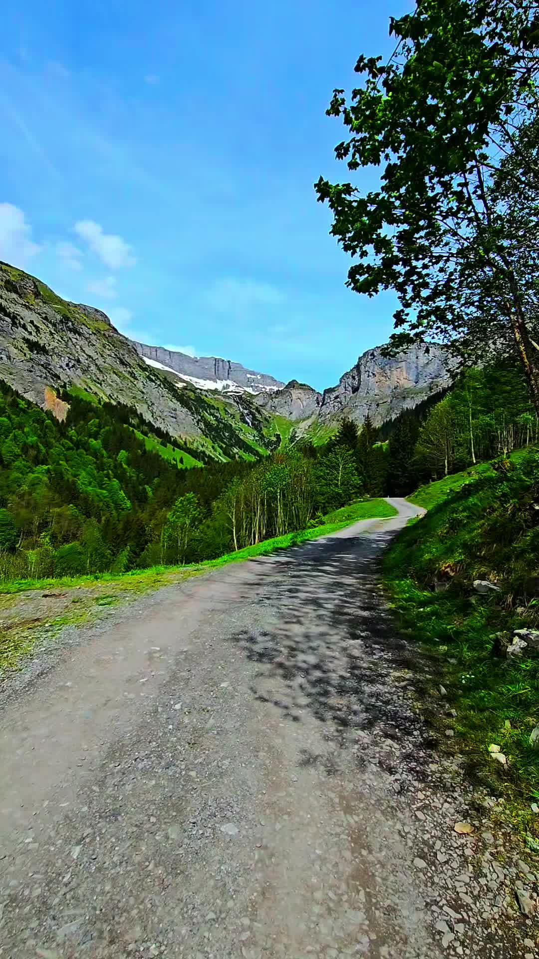 @🇨🇭başkan🇨🇭
