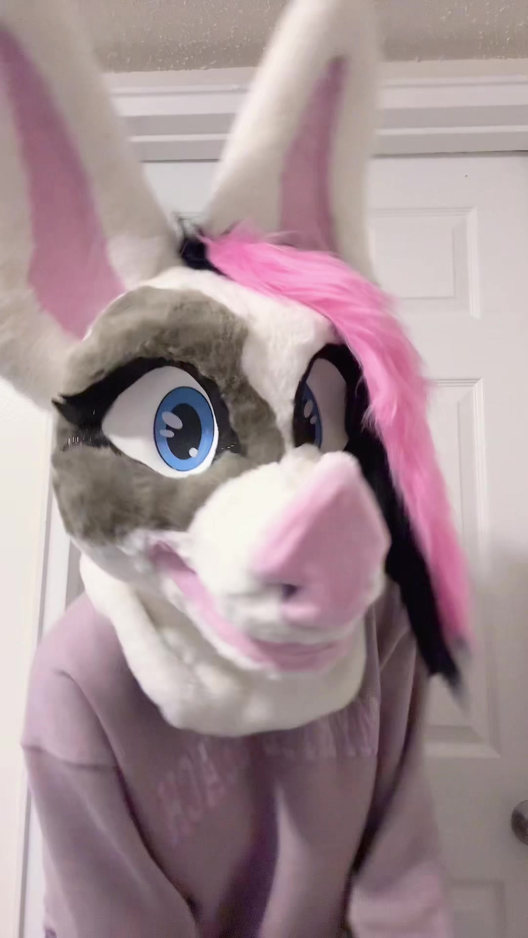 @RosieTheHorse