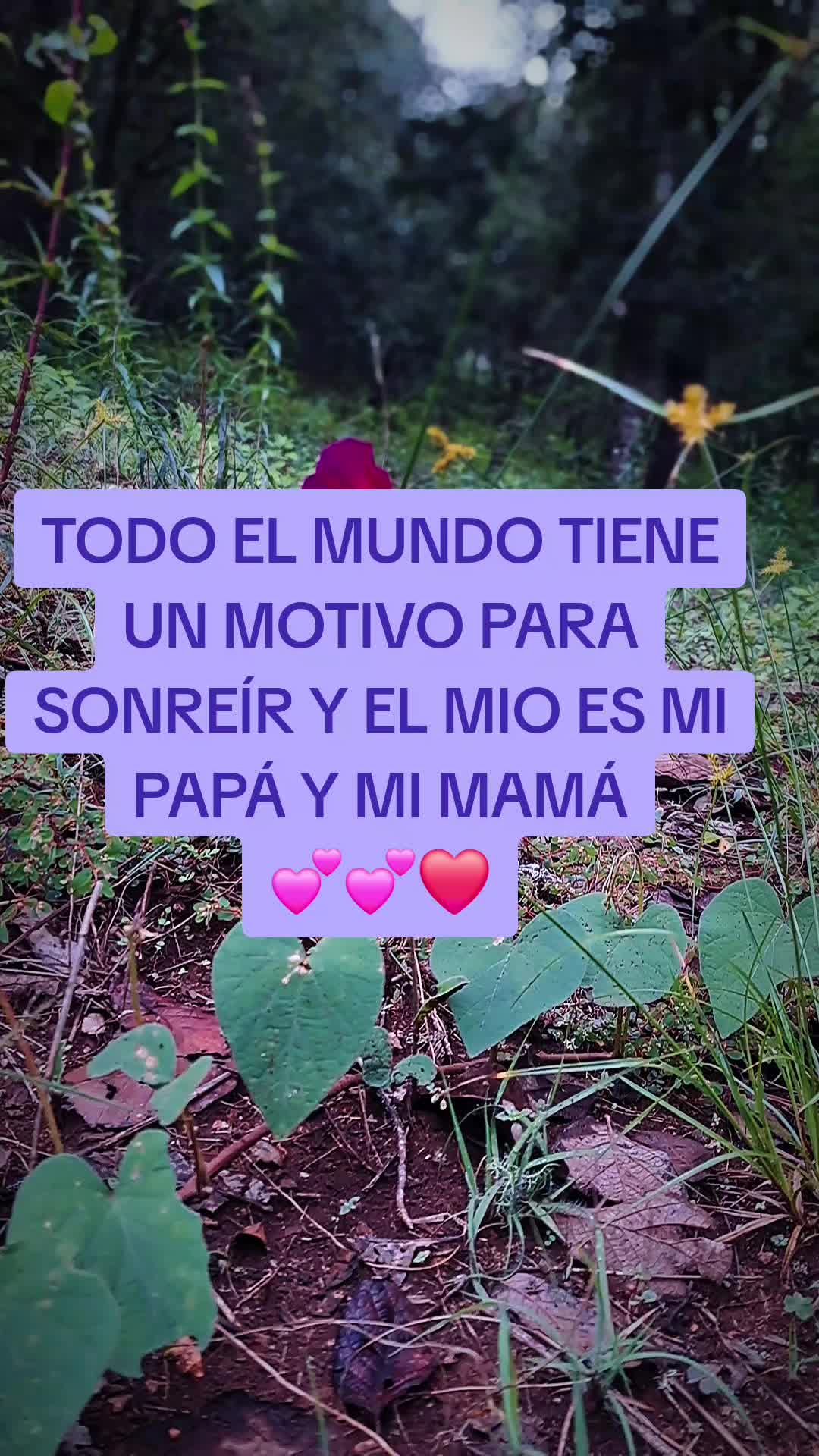 @Lili