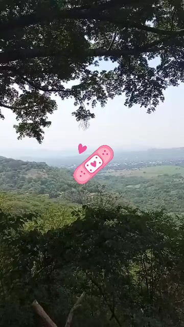 @Carmen Castillo 🇬🇹❤️🌻