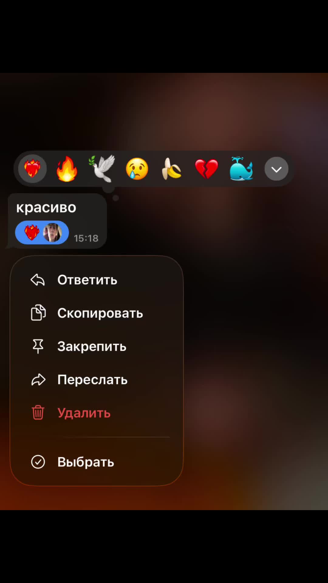@Вава Овсянка🐻