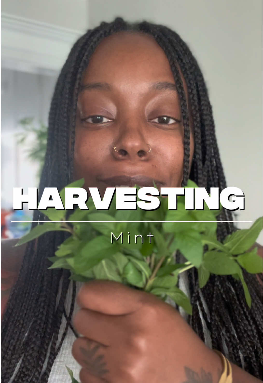 @Essencetheherbalist