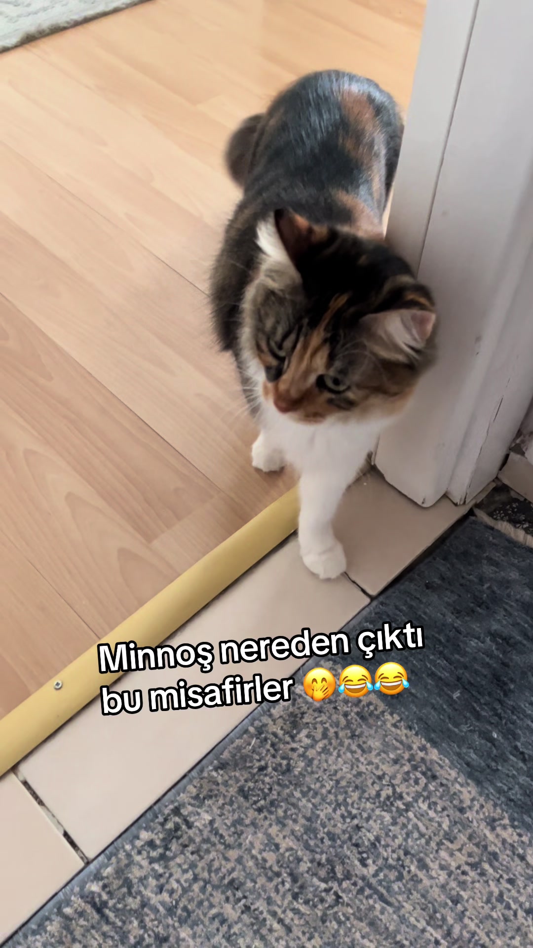 @konusankediminnos