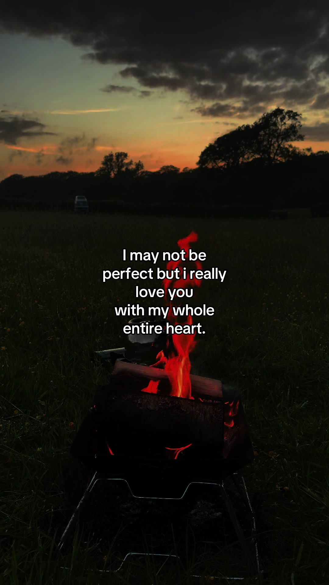 @reel_feels_