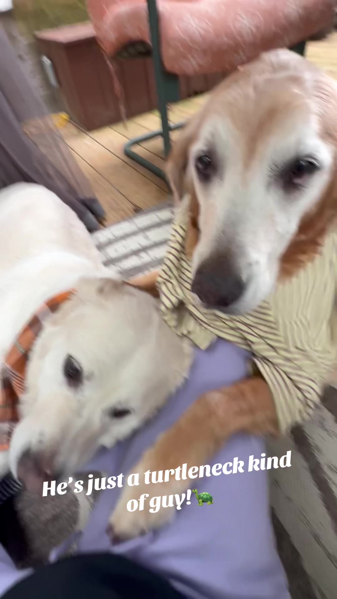 @lifewithduke2025