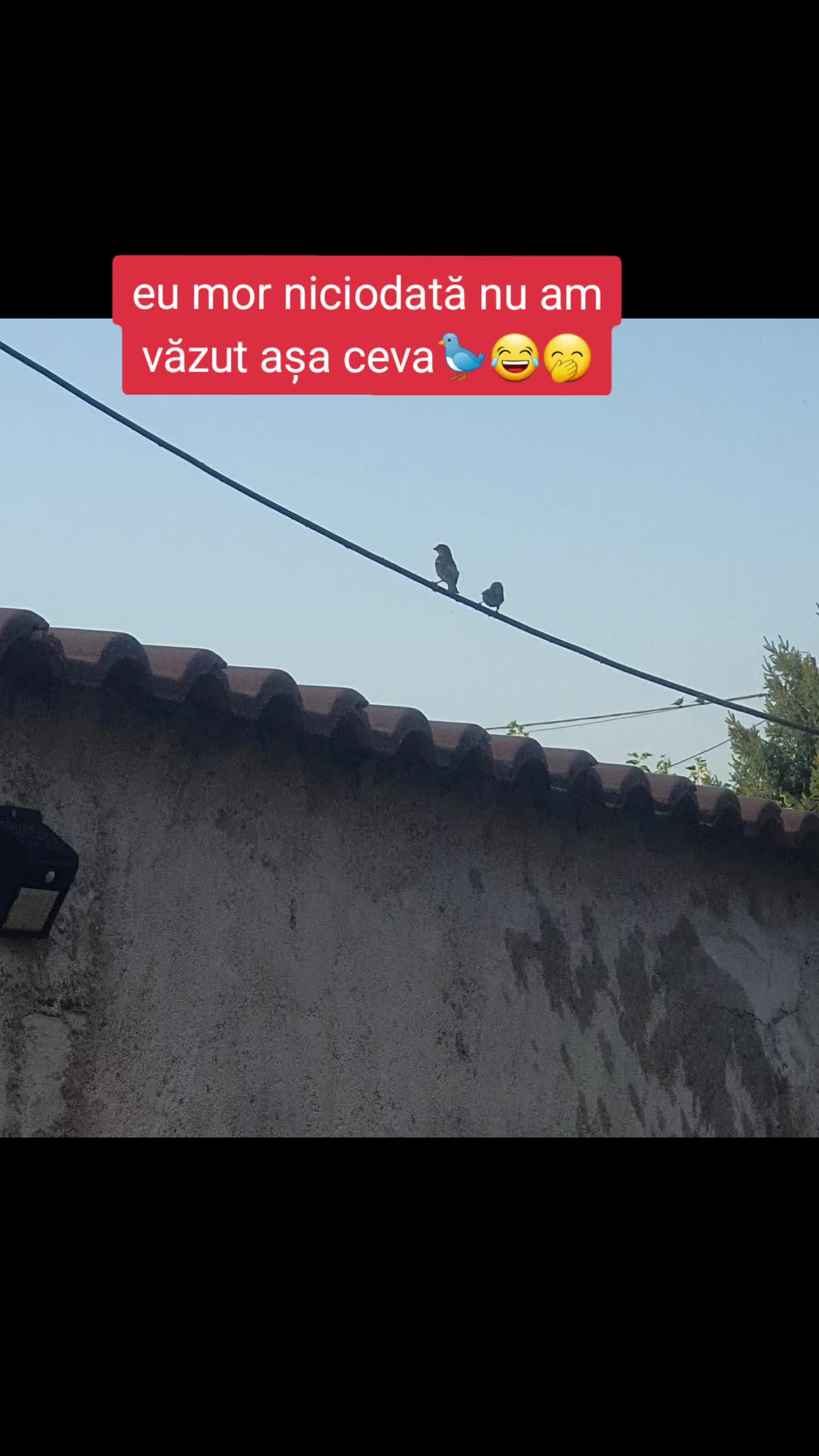 @Tina Antonia