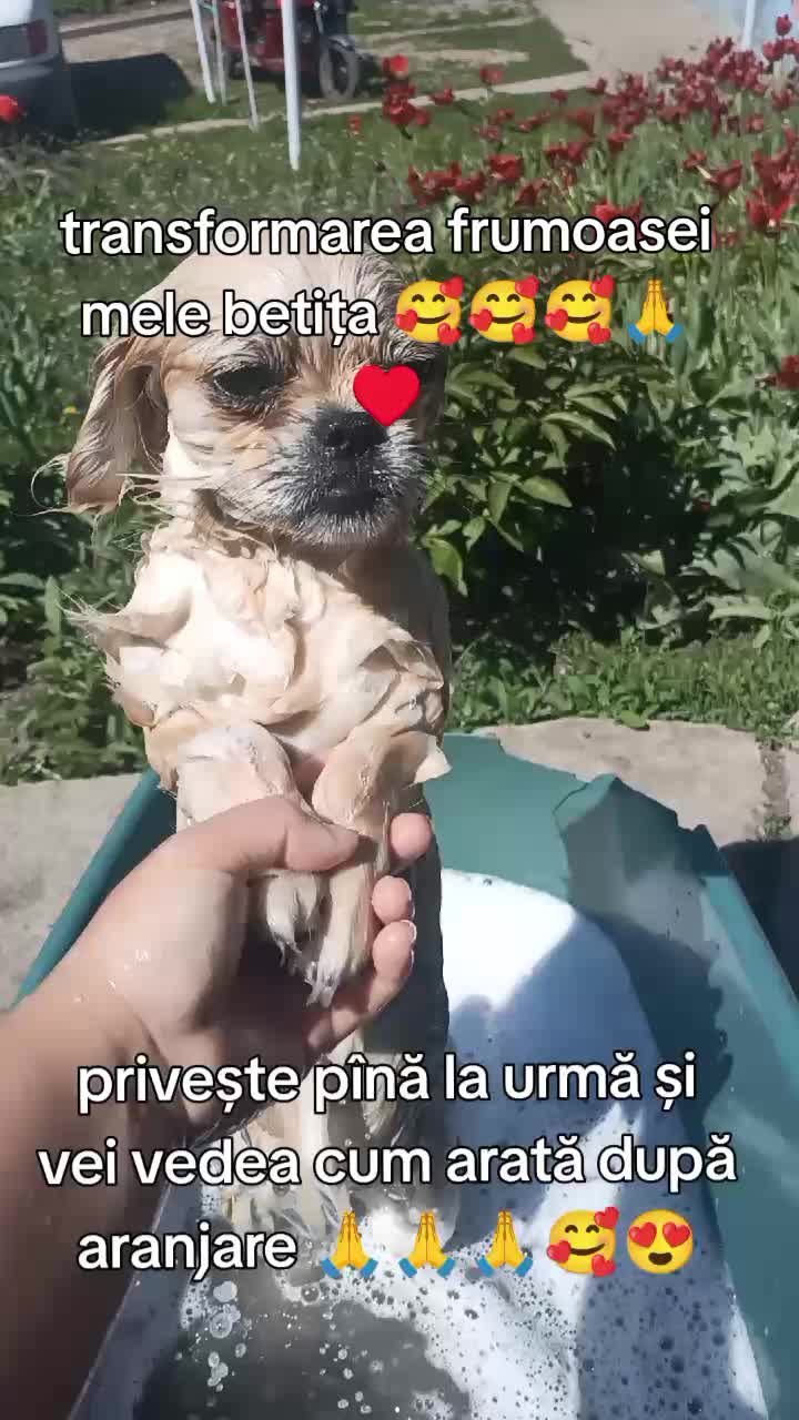 @Jacky_TikTok