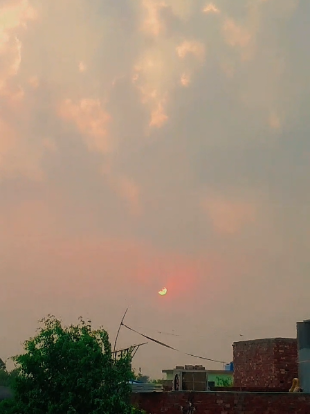 @𝘢ɳᵤ𝚖𝘢𝗅ⲓ𝐤 🎶