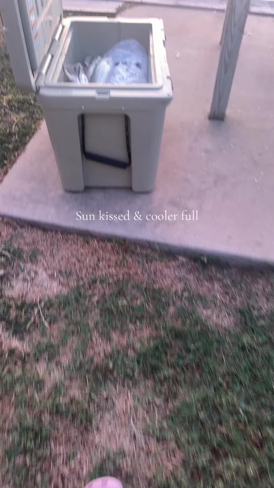 @Macaylee
