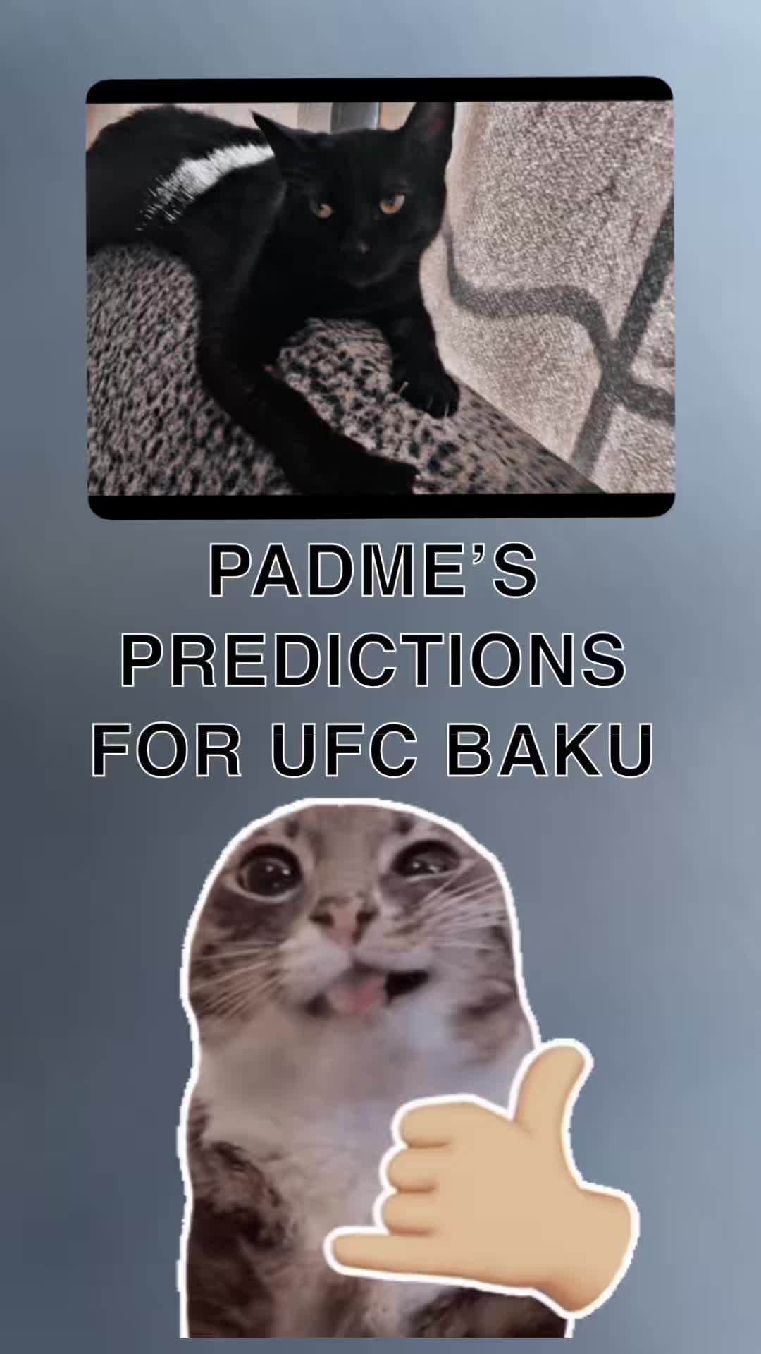 @Kitty Picks MMA