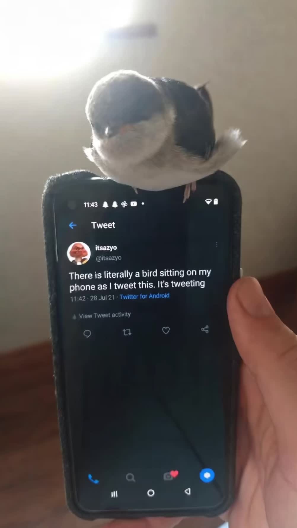 @itsazyo