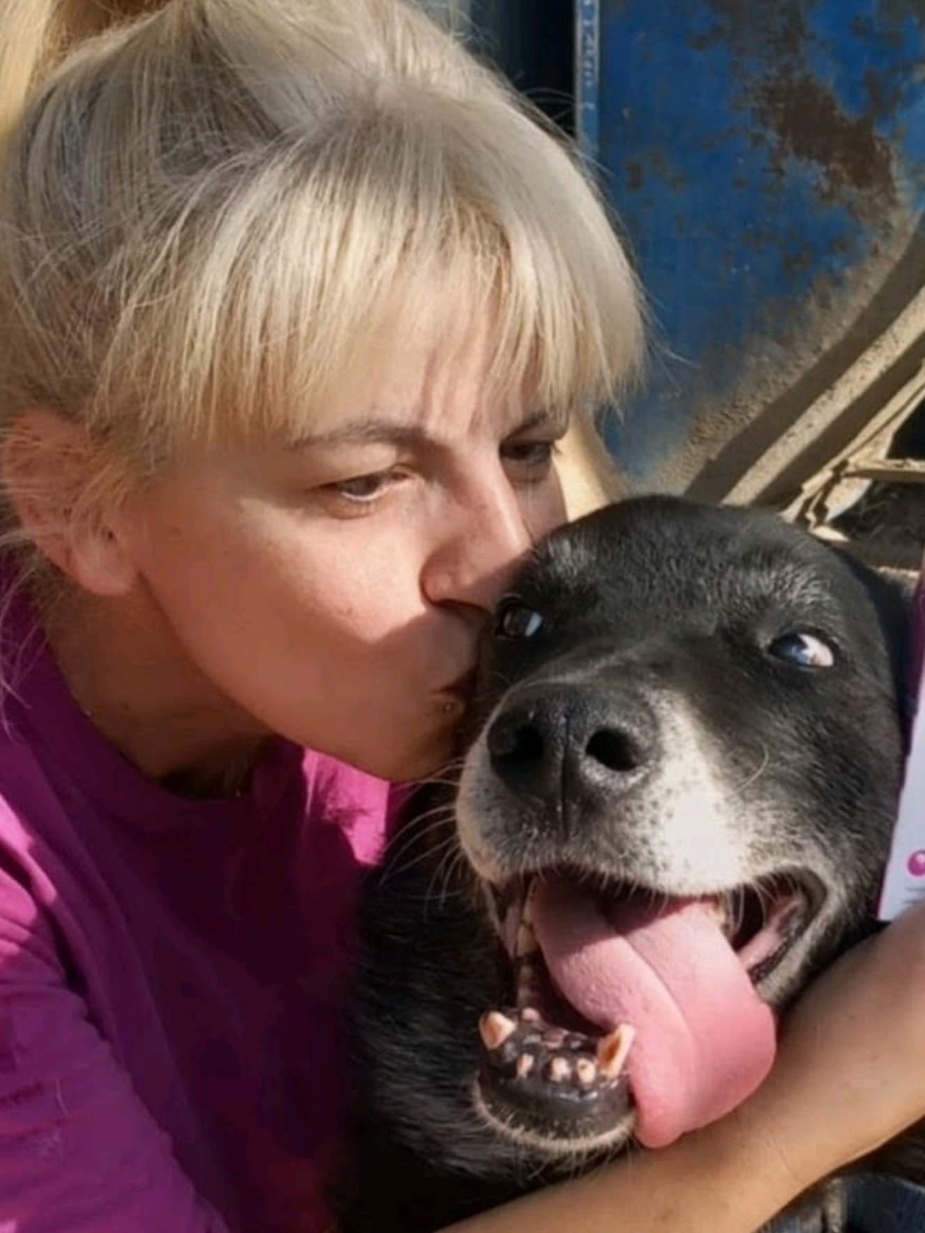 @Greek Animal Rescue
