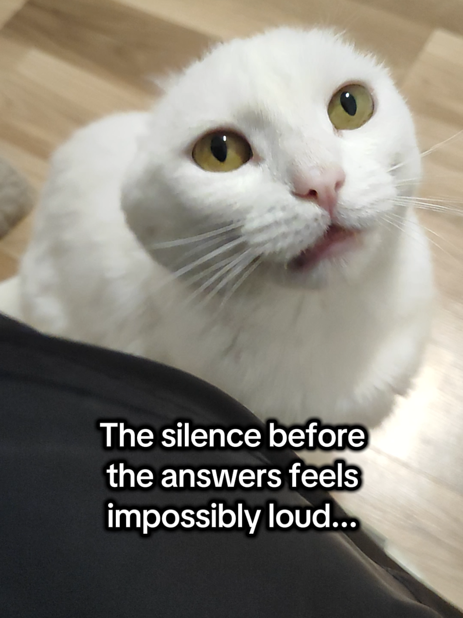 @Fluffy and Pixie