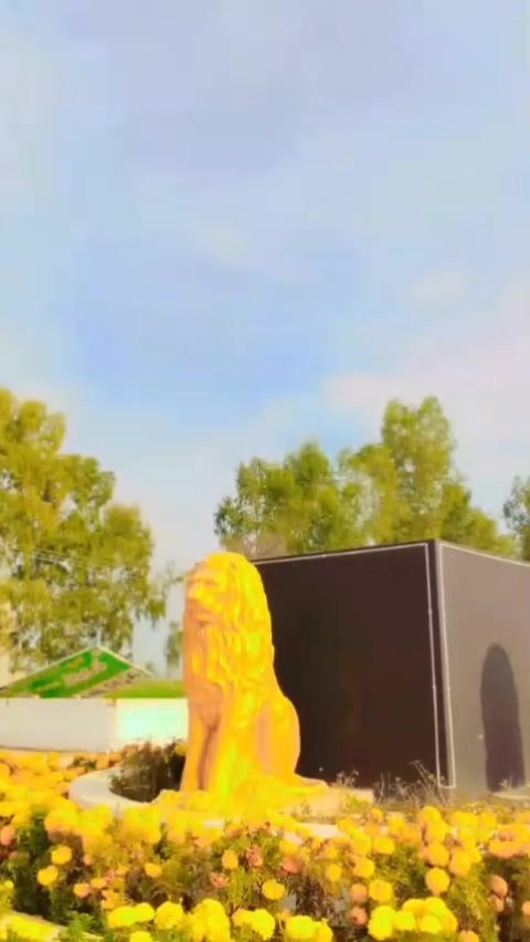 @♕  جمشید 💸
