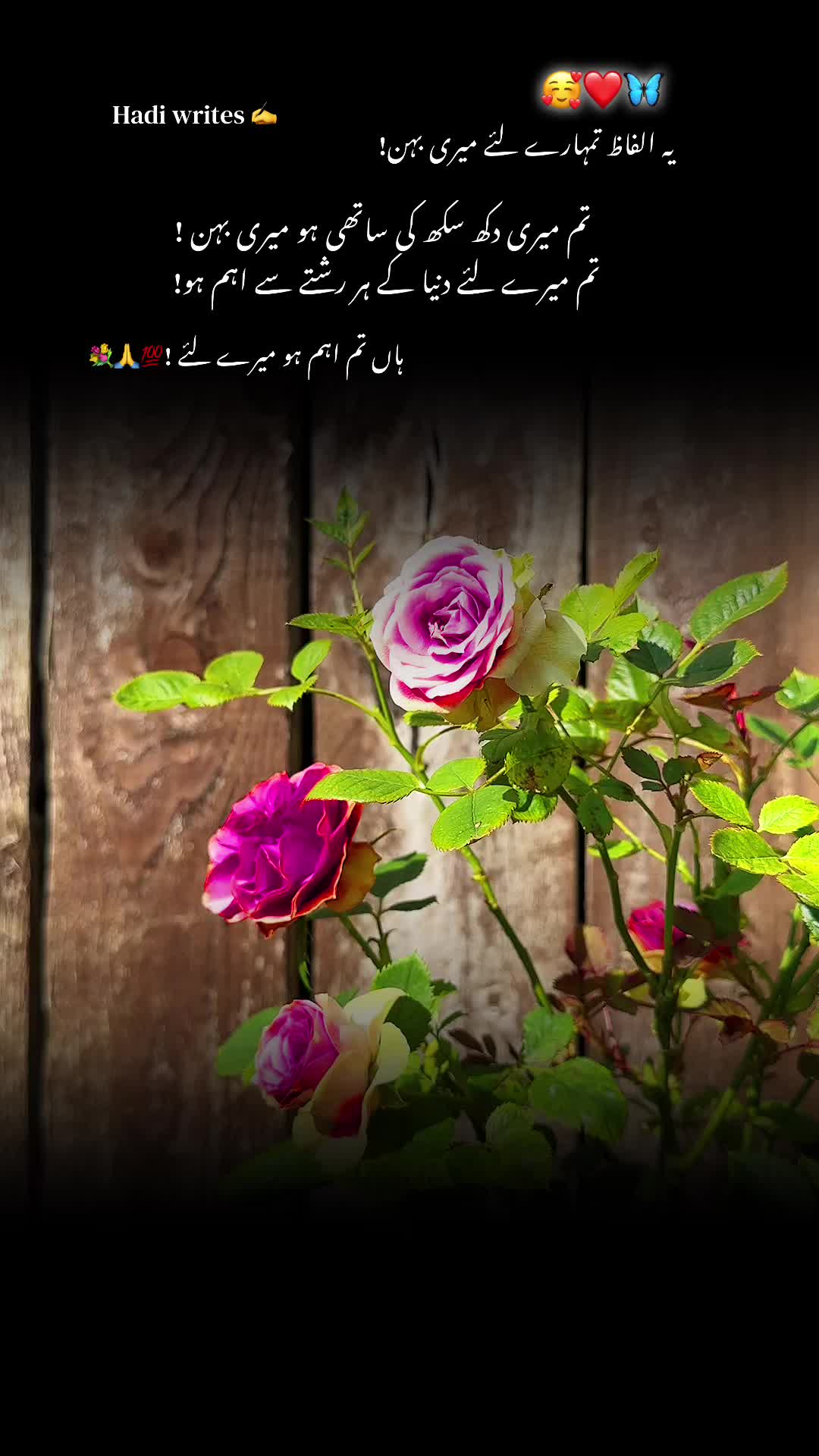 @Bhai Behen Quotes ✍️🥰🙏