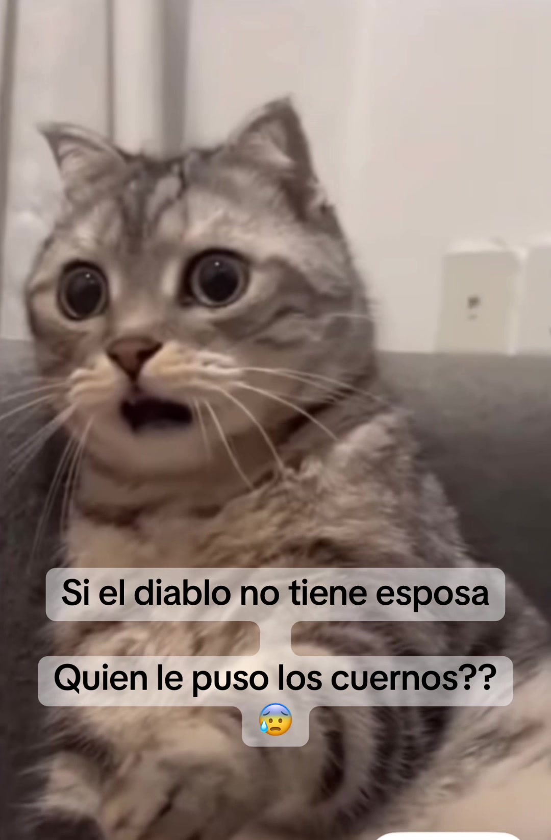 @Sam