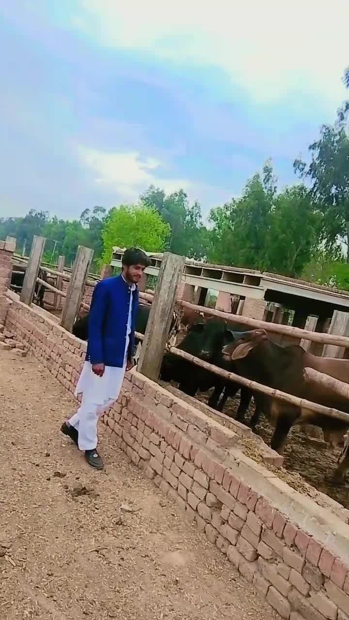 @userumar75