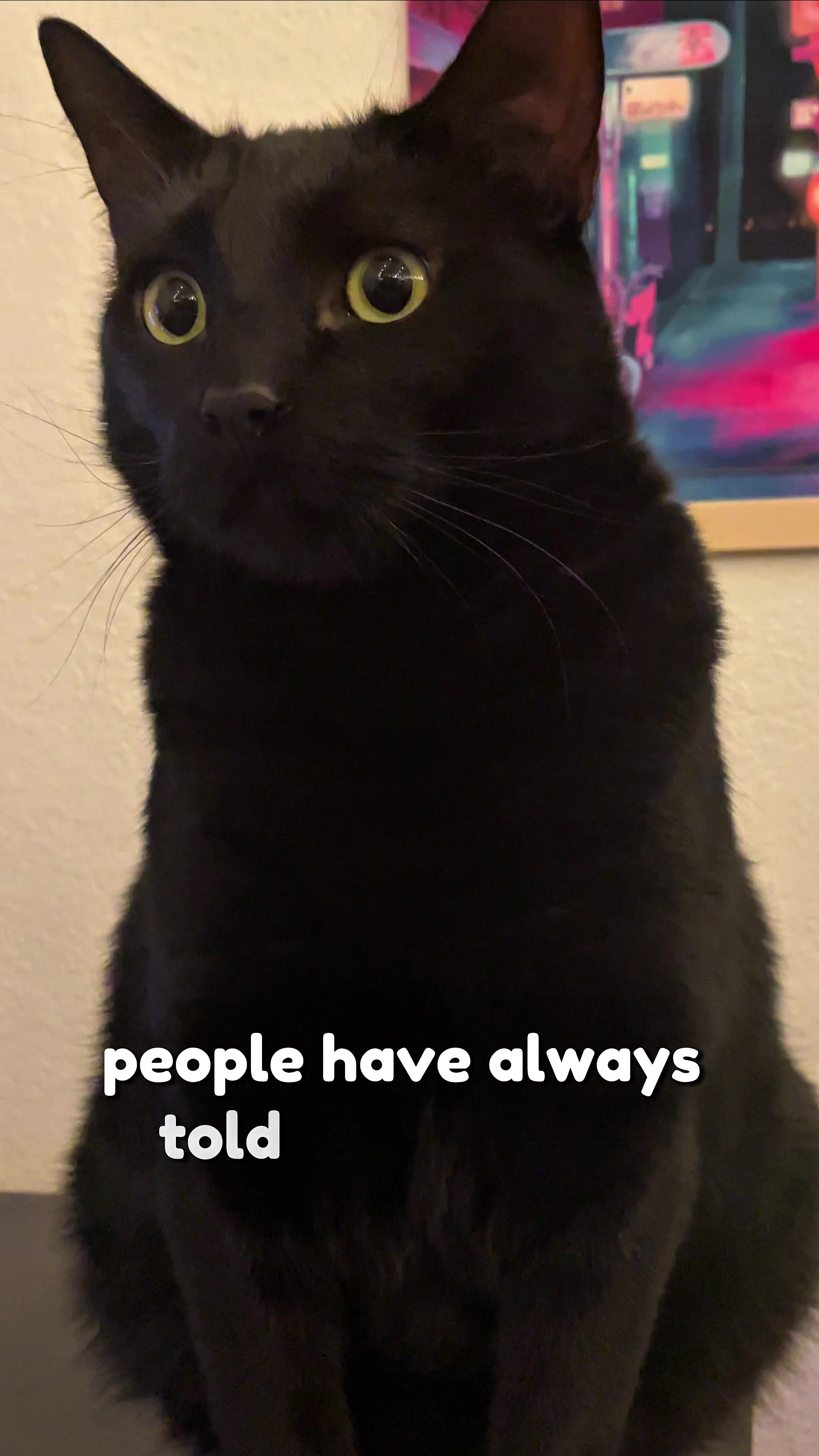 @Leon The Cat Dad