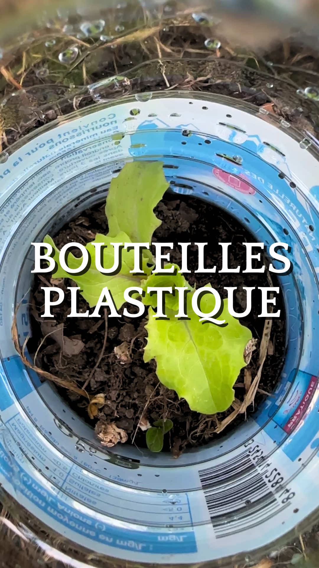 @Retour &agrave; la Terre