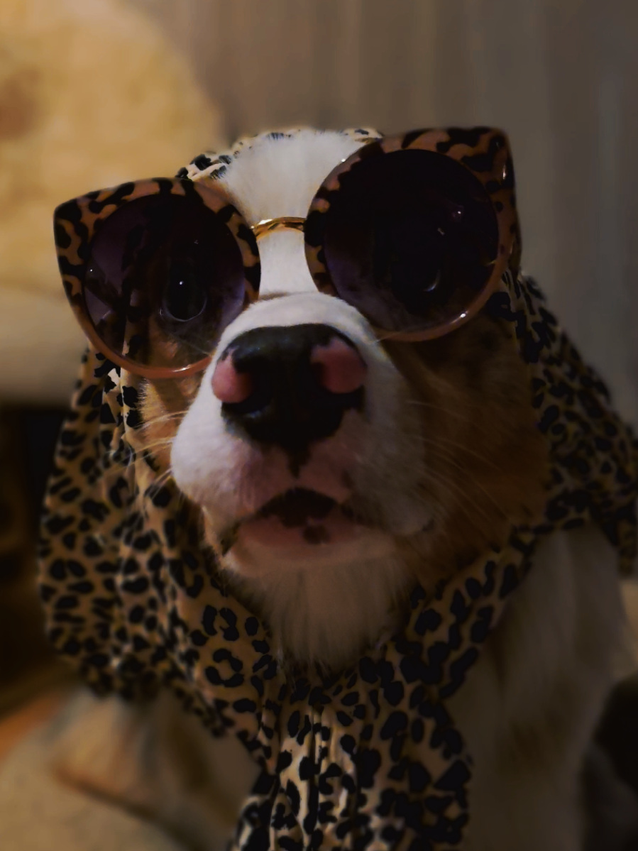 @mr.montytheaussie