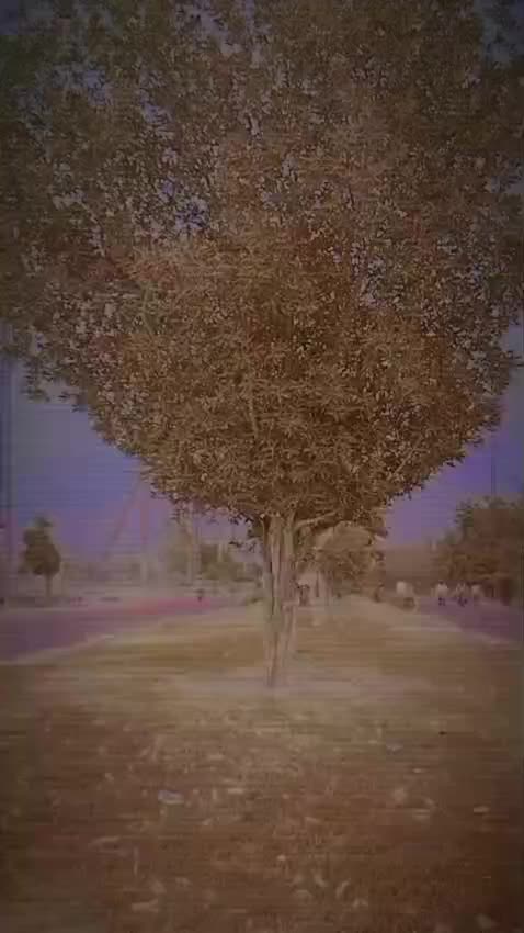 @Essa Rajpu