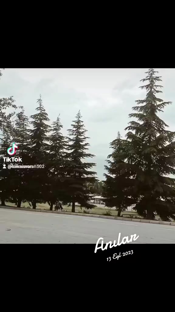 @ORAN _BEY