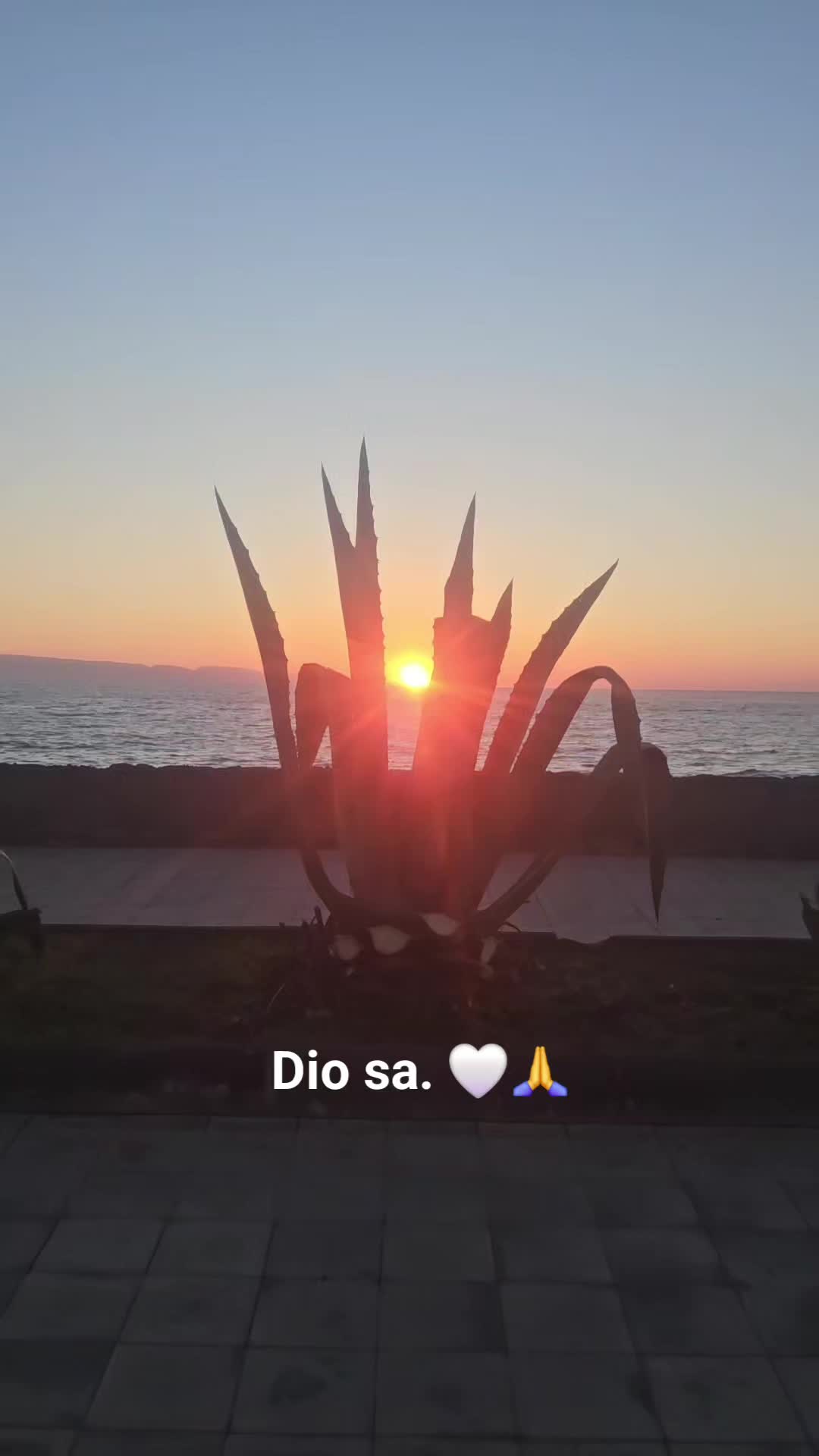@Salvatrice Strano