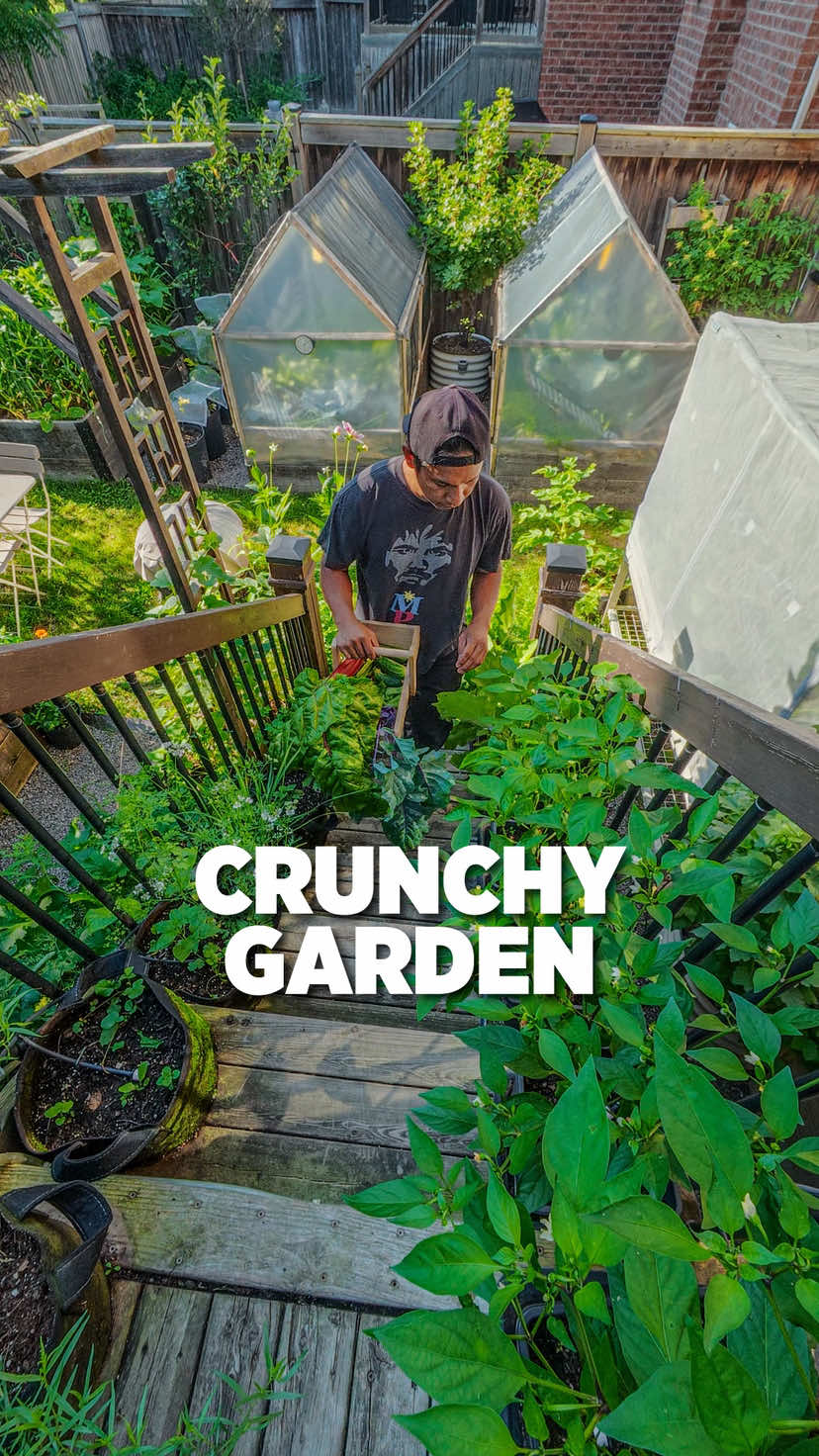 @Planted in the Garden