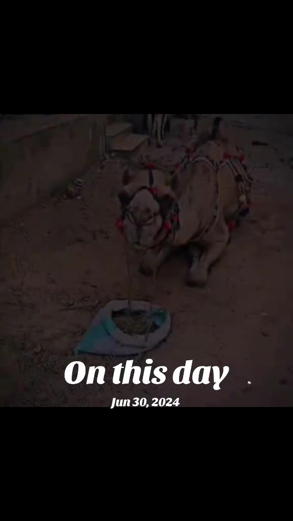 @Nasir Ali