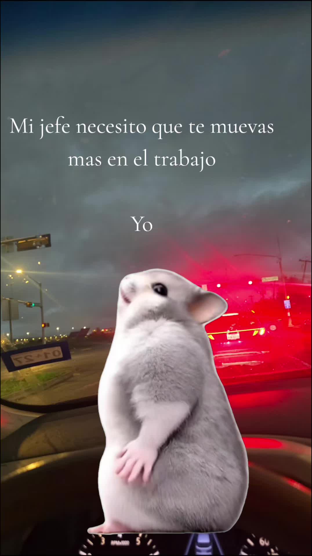 @Rubi Valencia