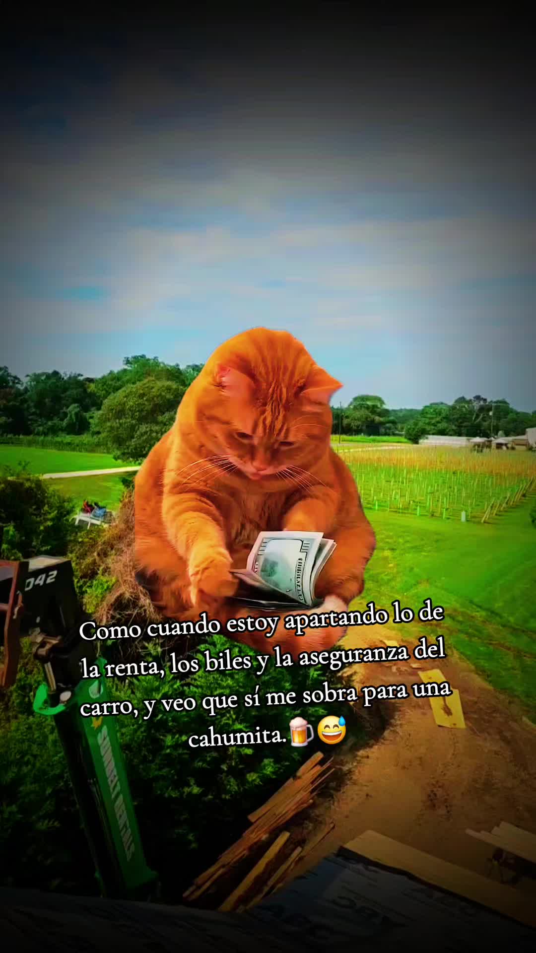 @🇲🇽Guli.Carrada 🐈⬛