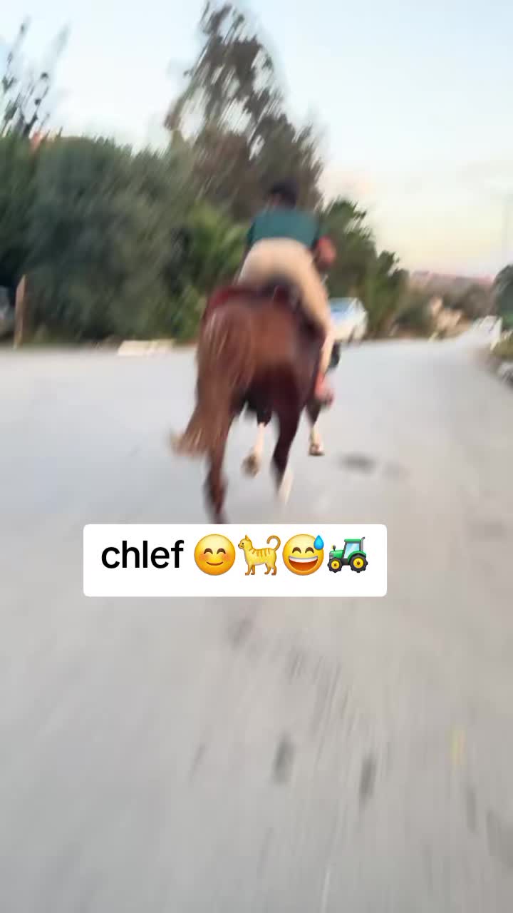 @🐦&zwj;🔥🇩🇿𝕞𝕒𝕪𝕤𝕥𝕣𝕠31🐦&zwj;🔥