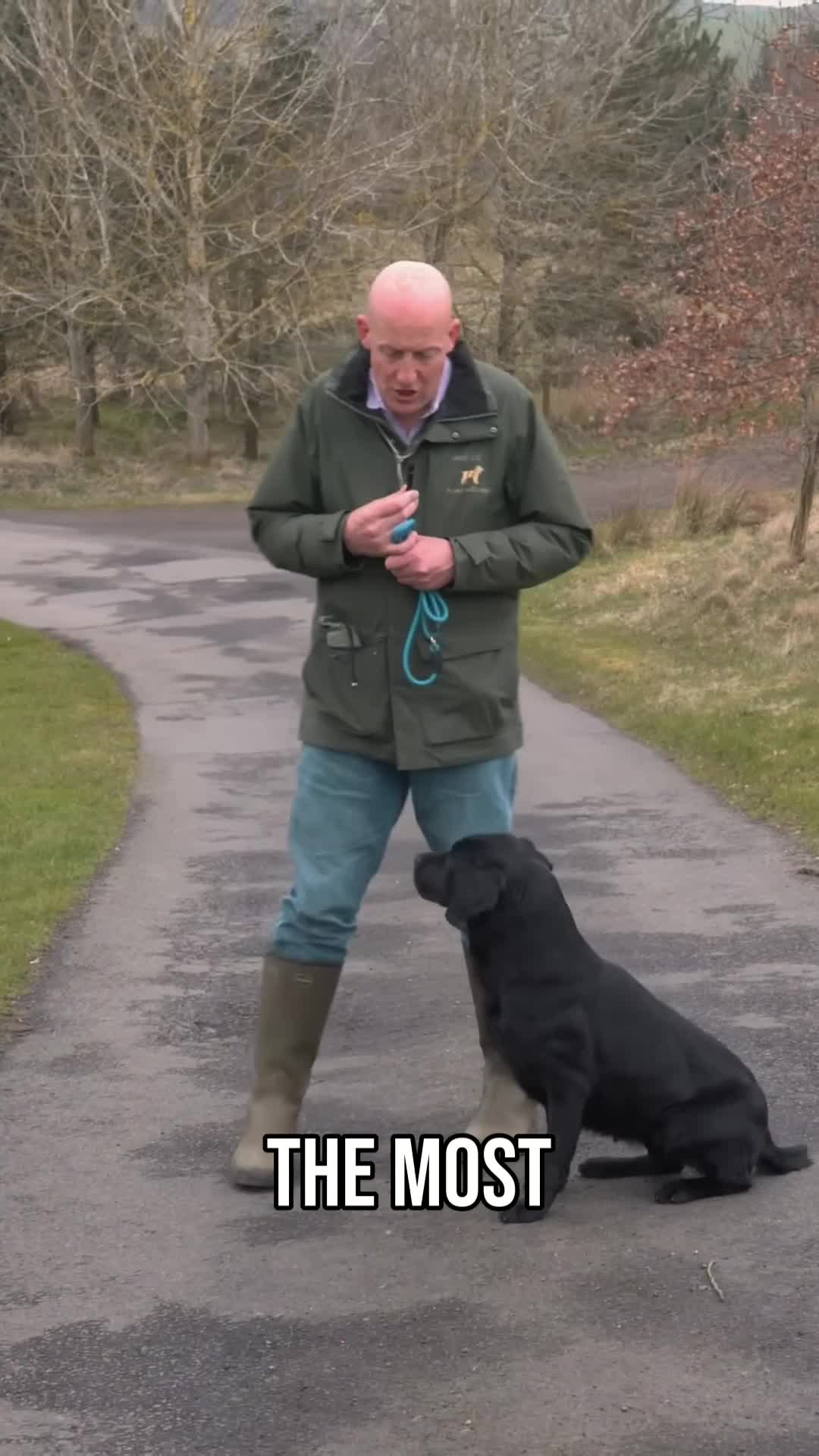 @Mordor Gundogs
