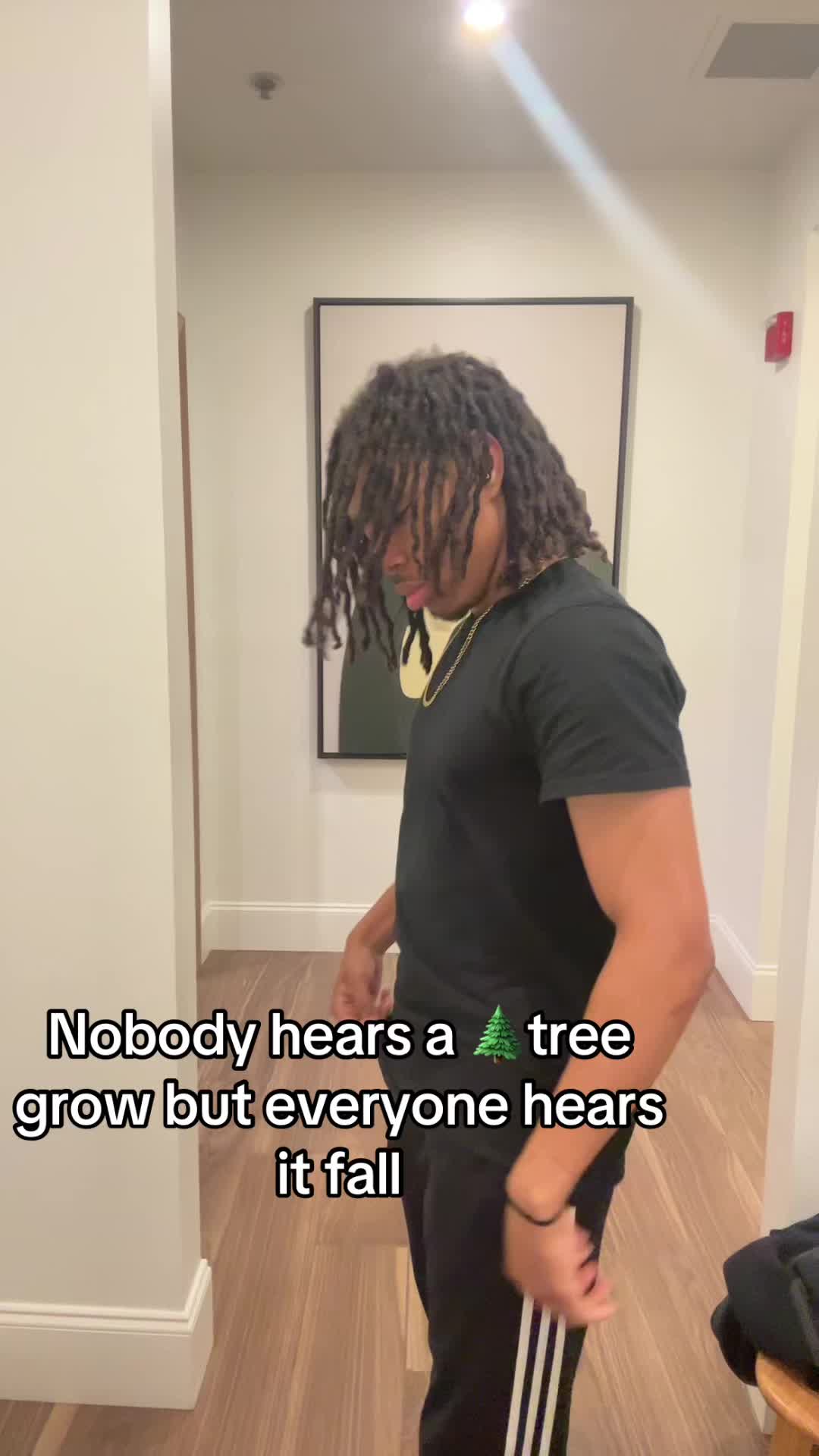 @masedisplay