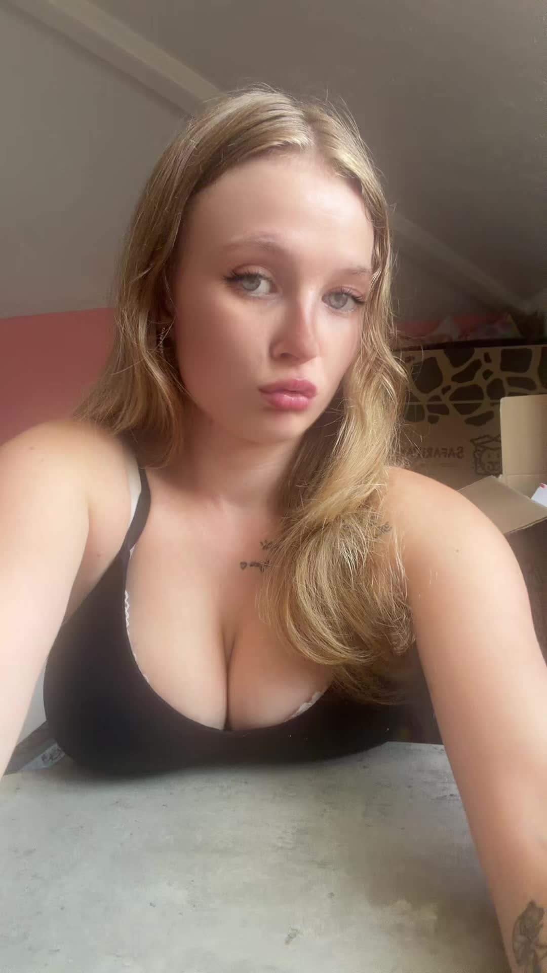 @tinytaraxo
