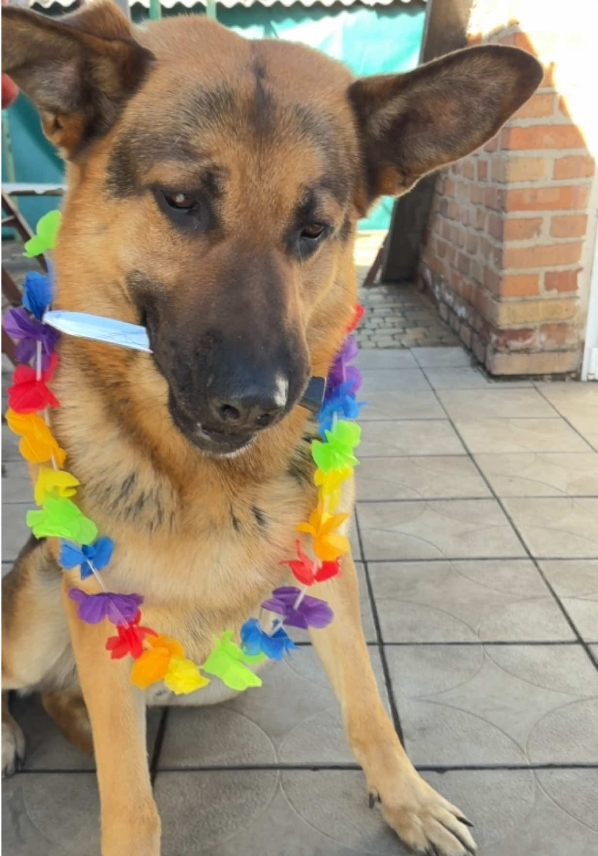 @I am Rocky.