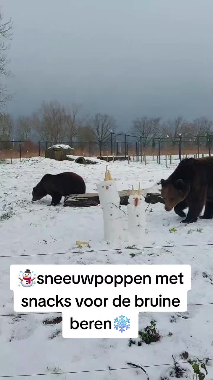 @Dierenpark Hoenderdaell