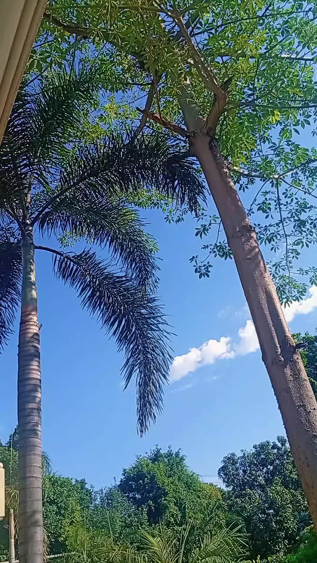 @Sarwar Rajpoot