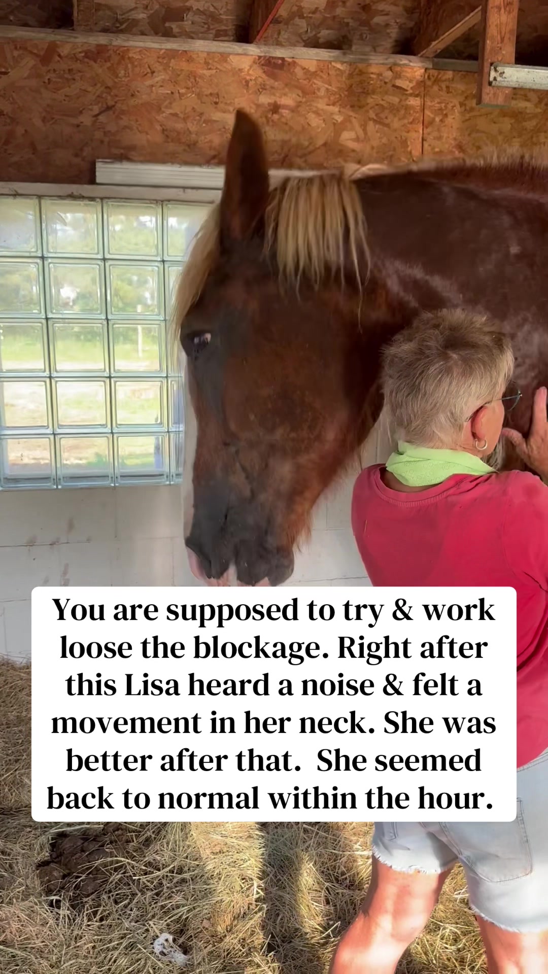 @Safe Place Pastures, Inc.