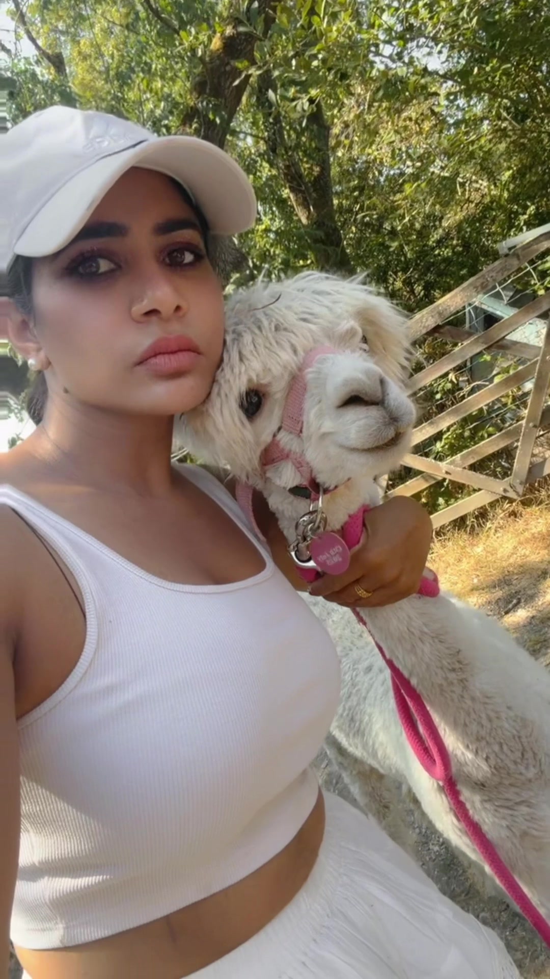 @preetkarkhal
