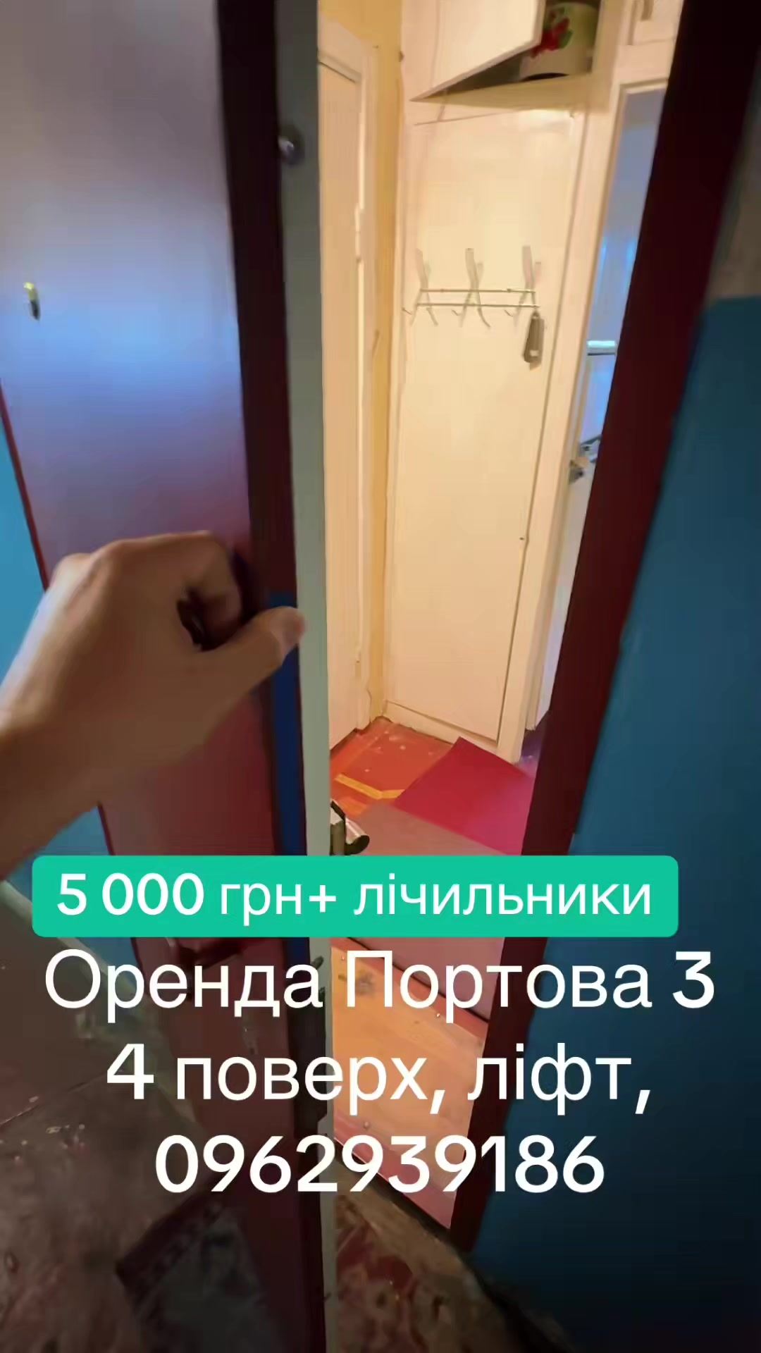 @_Krolik_444