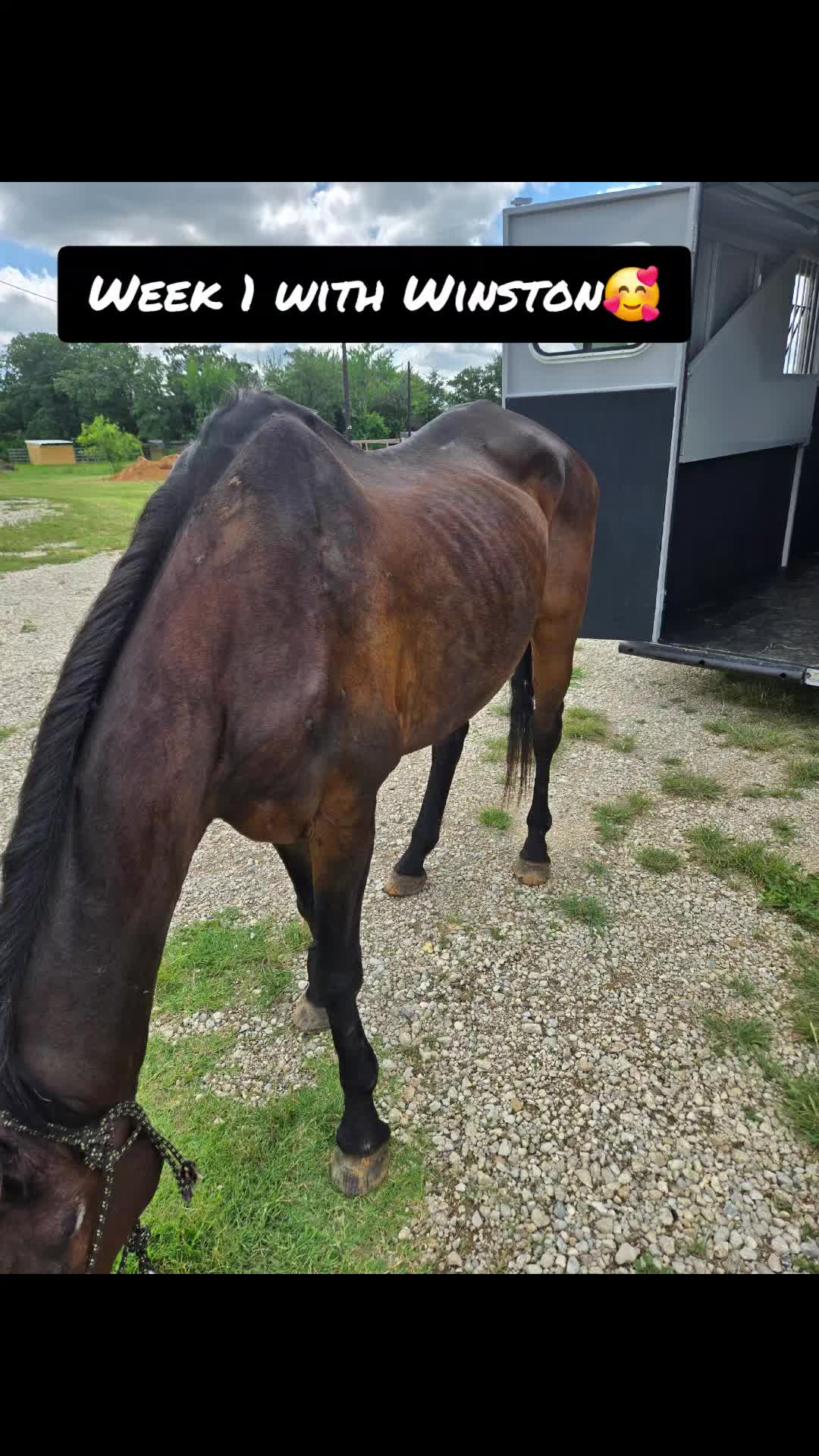 @Fonzy's Farm Rehab & Sanctuary