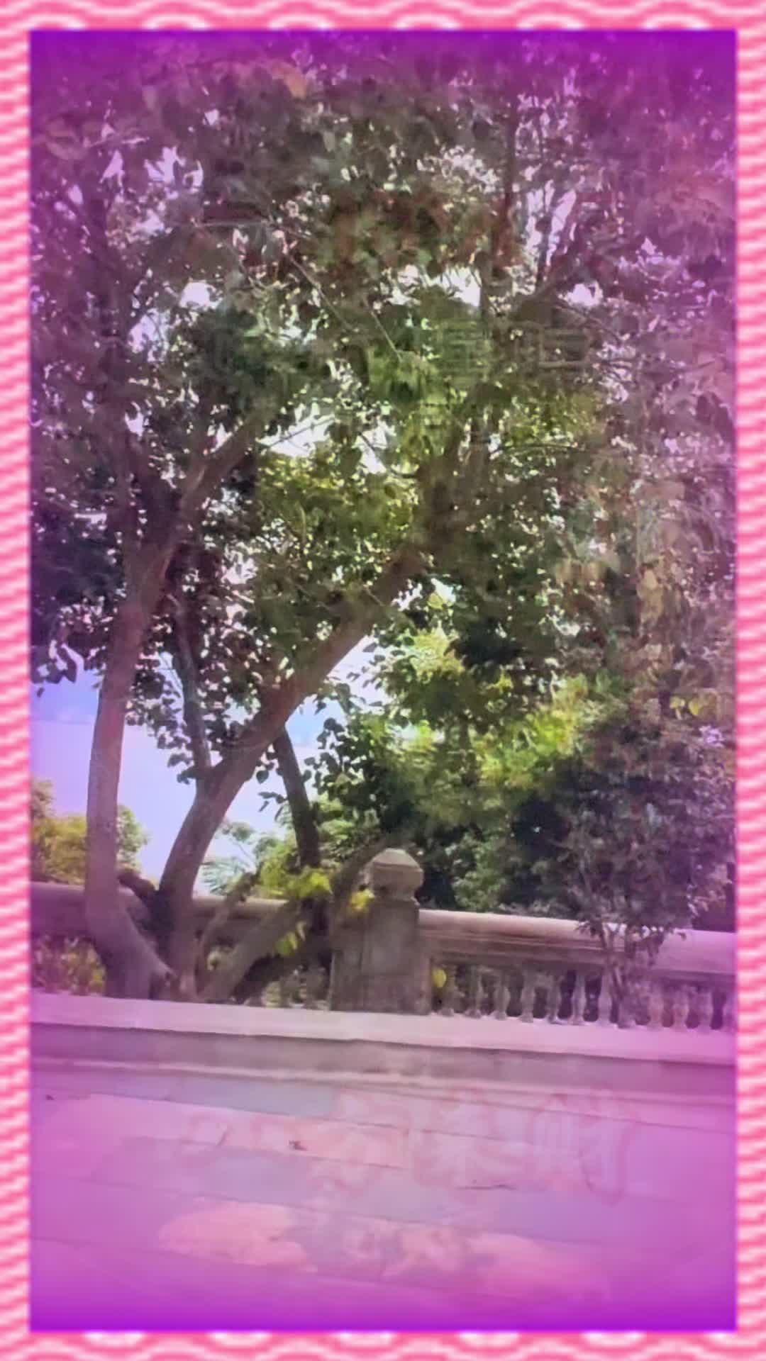 @leolin91912
