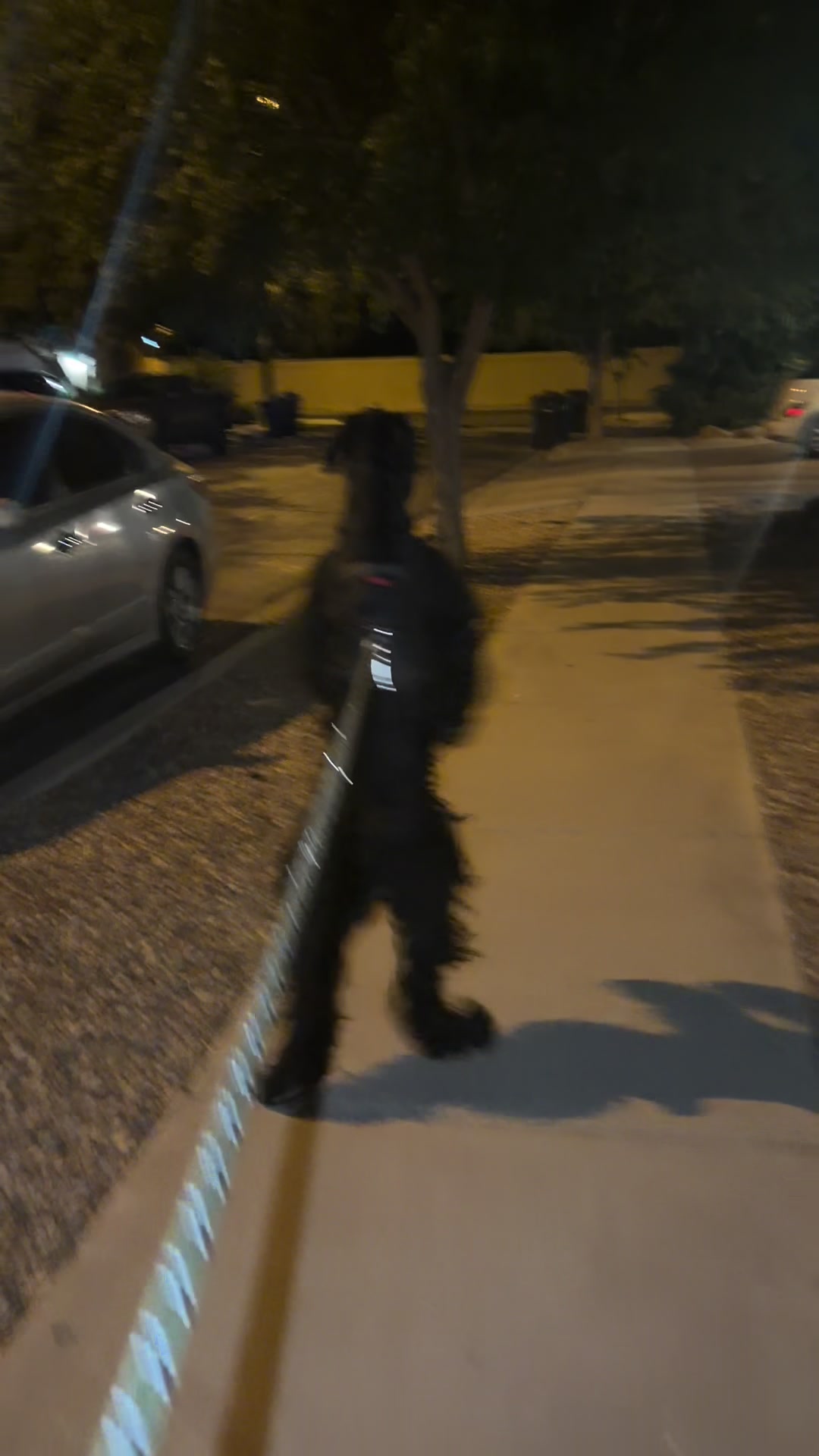 @Fiona Walks