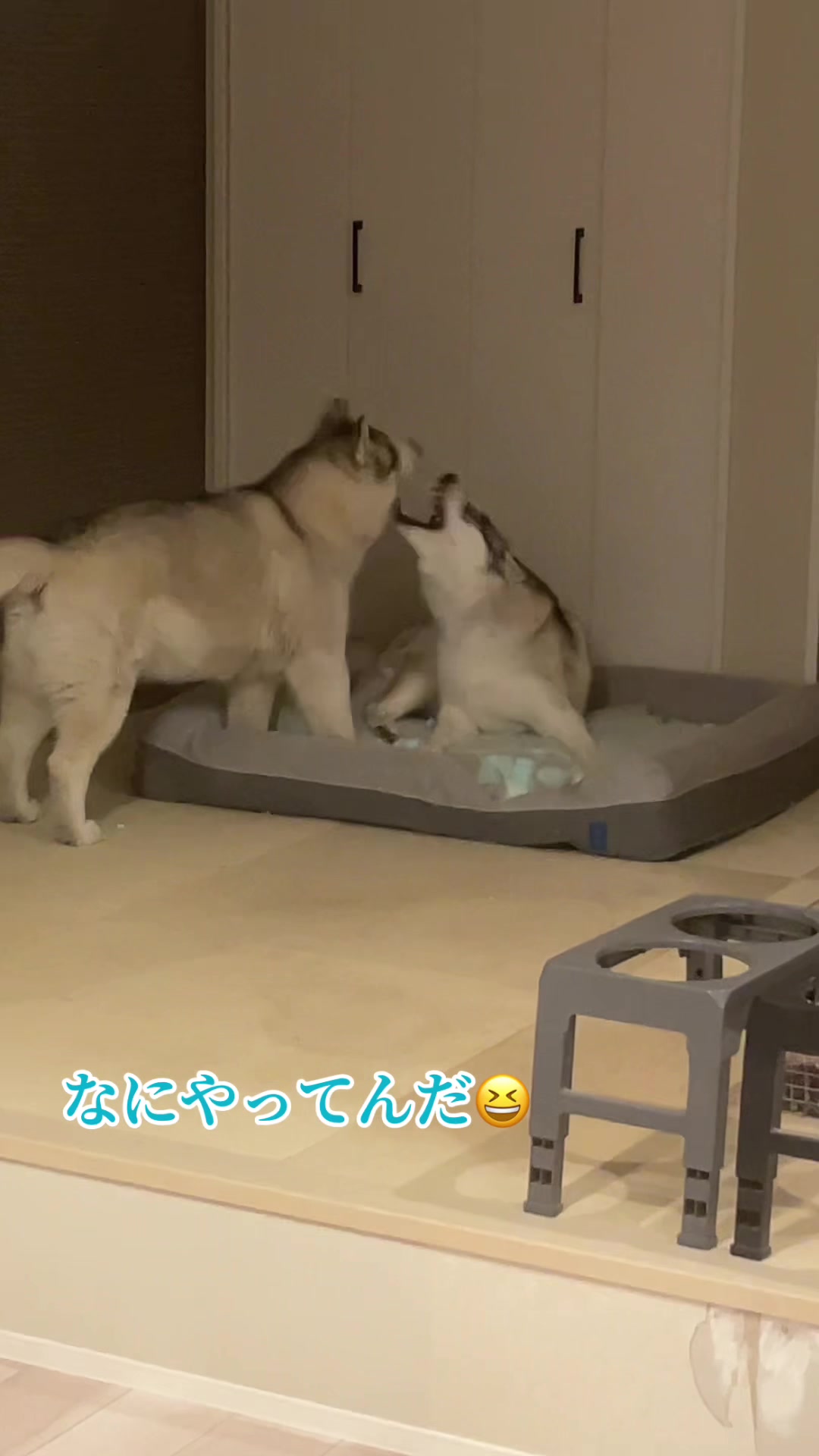 @サン☀️とムーン🌙